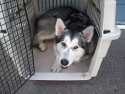 Kiska R. Finds a Quiet Place to Relax!